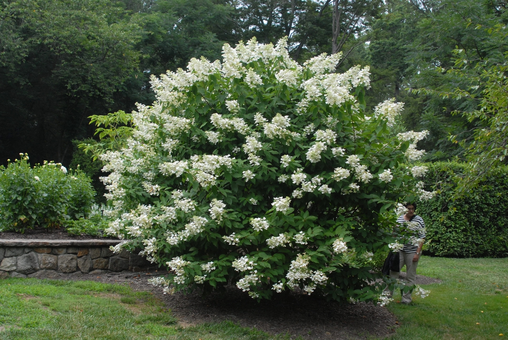 'Unique' Form