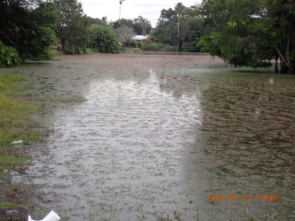Infestation in FL