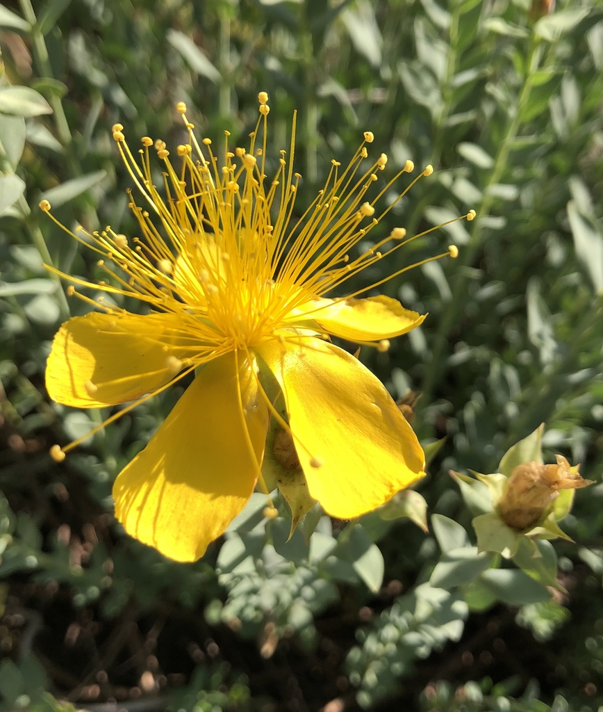 Form
