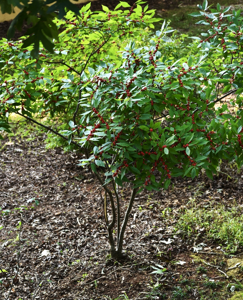 Form - September - Warren Co., NC