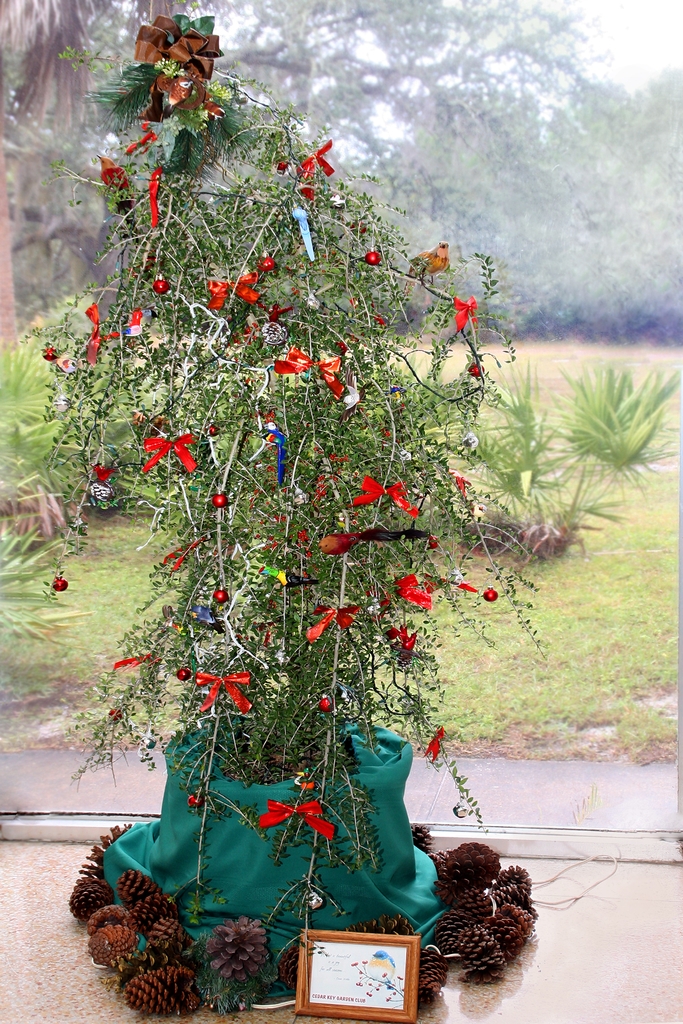 Small tree in a pot decorated for Christmas