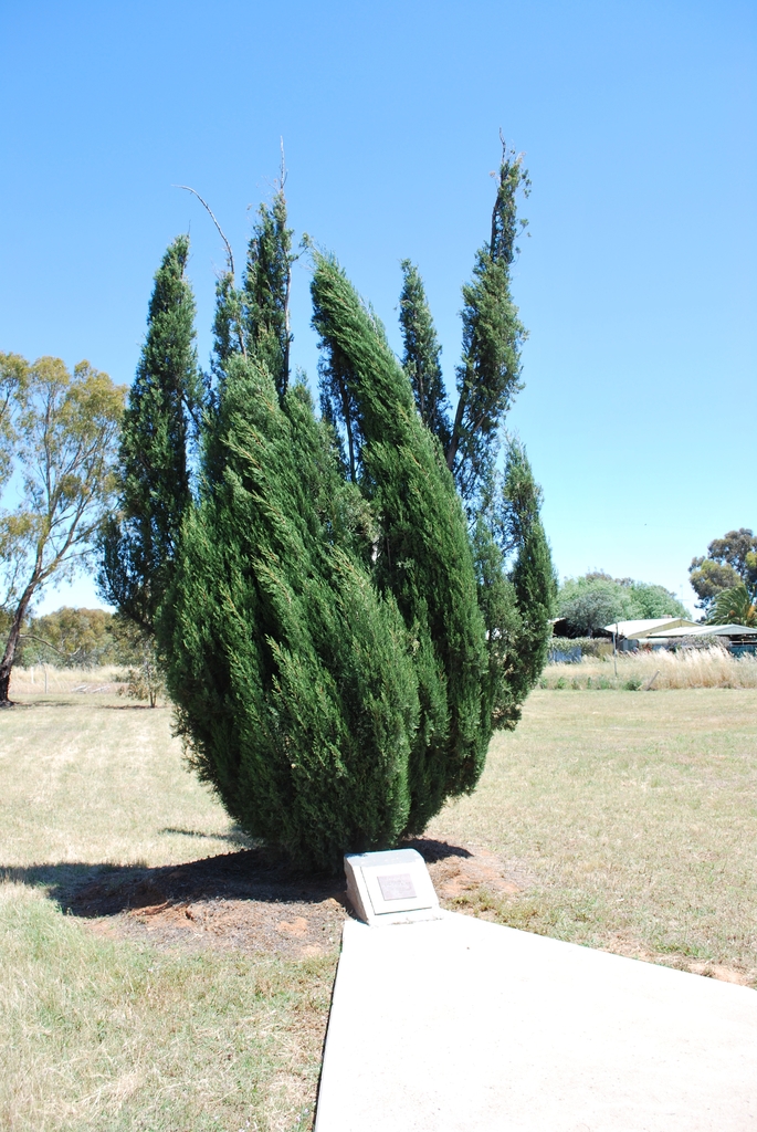 Form