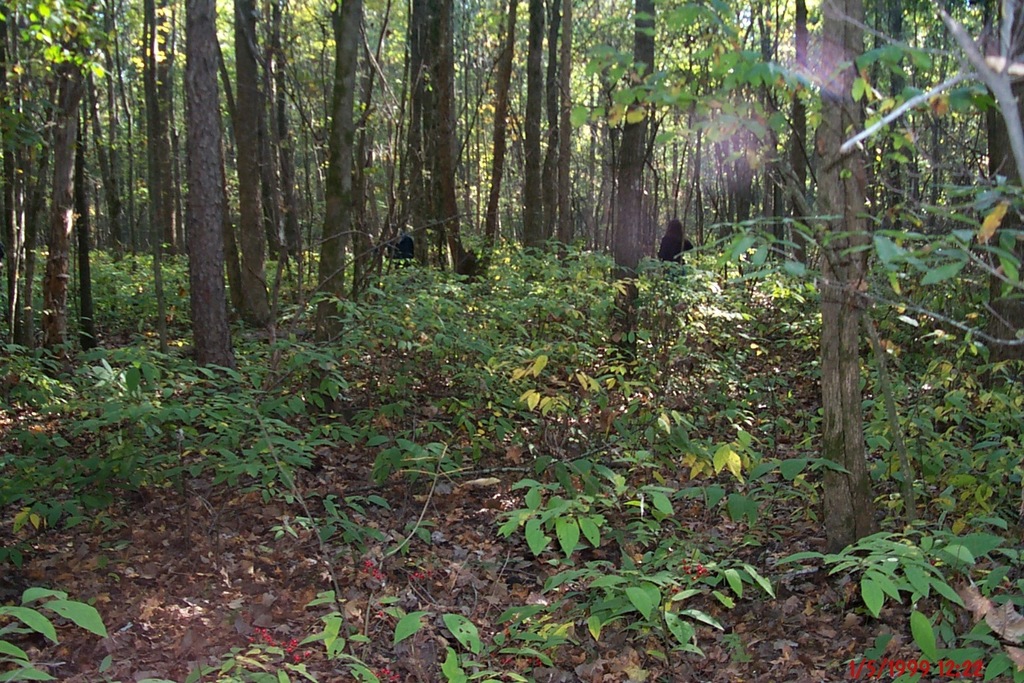 Native habitat