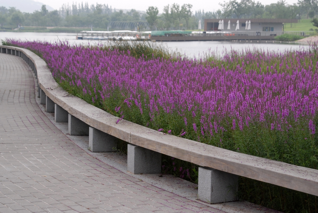 Mass planting