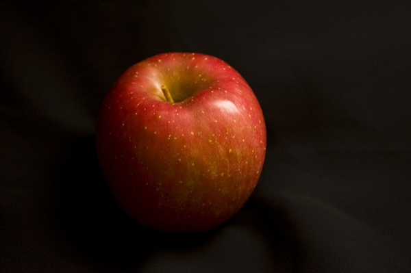 Malus domestica "Fuji"
