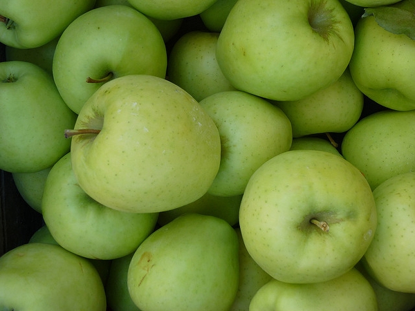 Malus domestica "Ginger Gold"