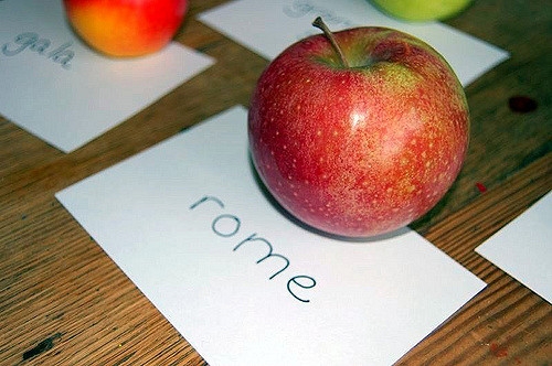 Malus domestica "Rome"