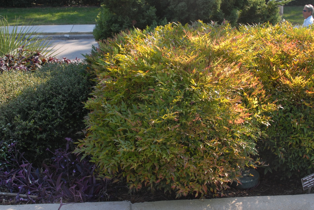 'Moon bay' under Sun Form