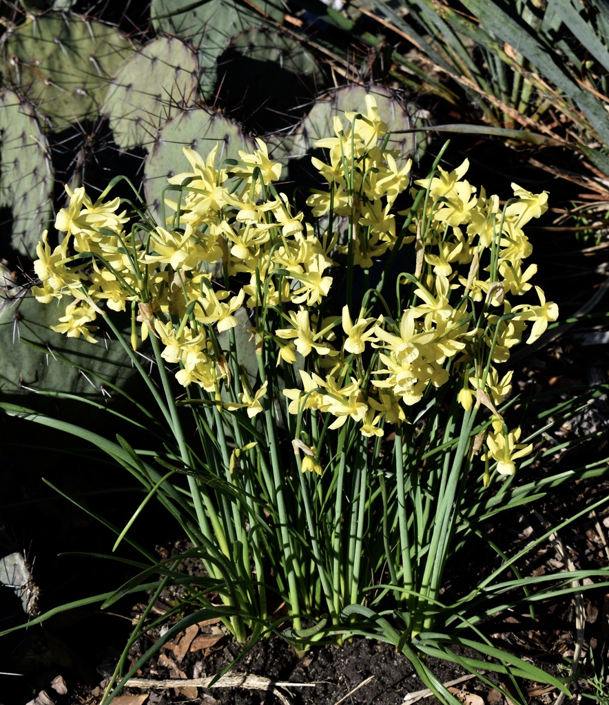 Form