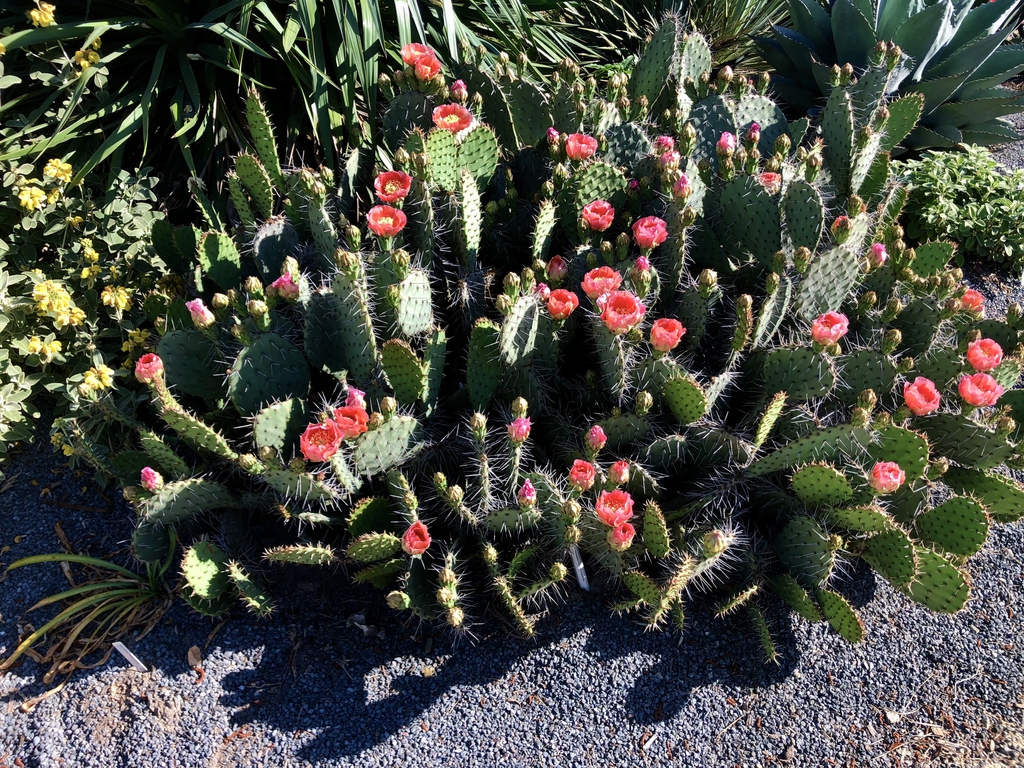 Form in May
