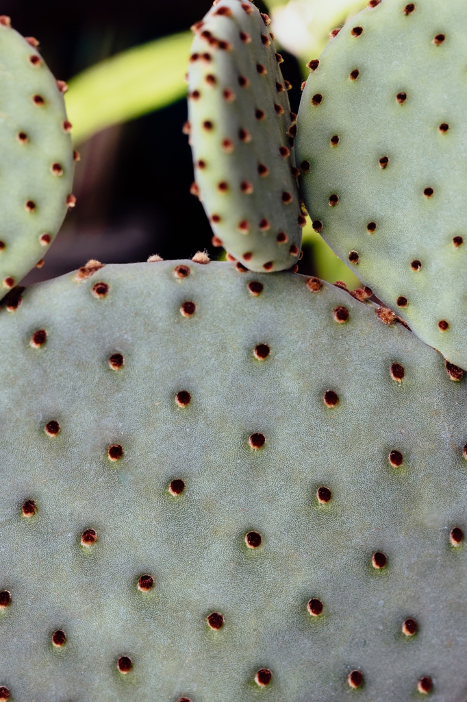 Close up