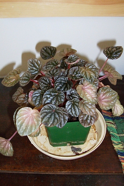 Form