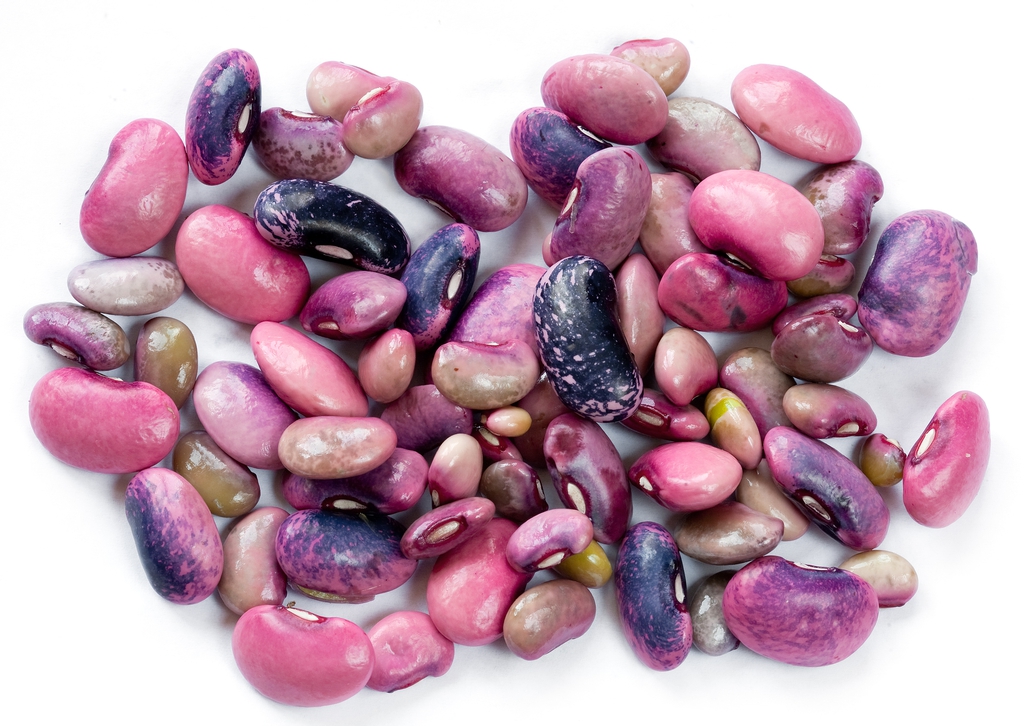 Beans