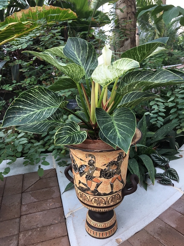 Leaves with white pinstripes; decorative container