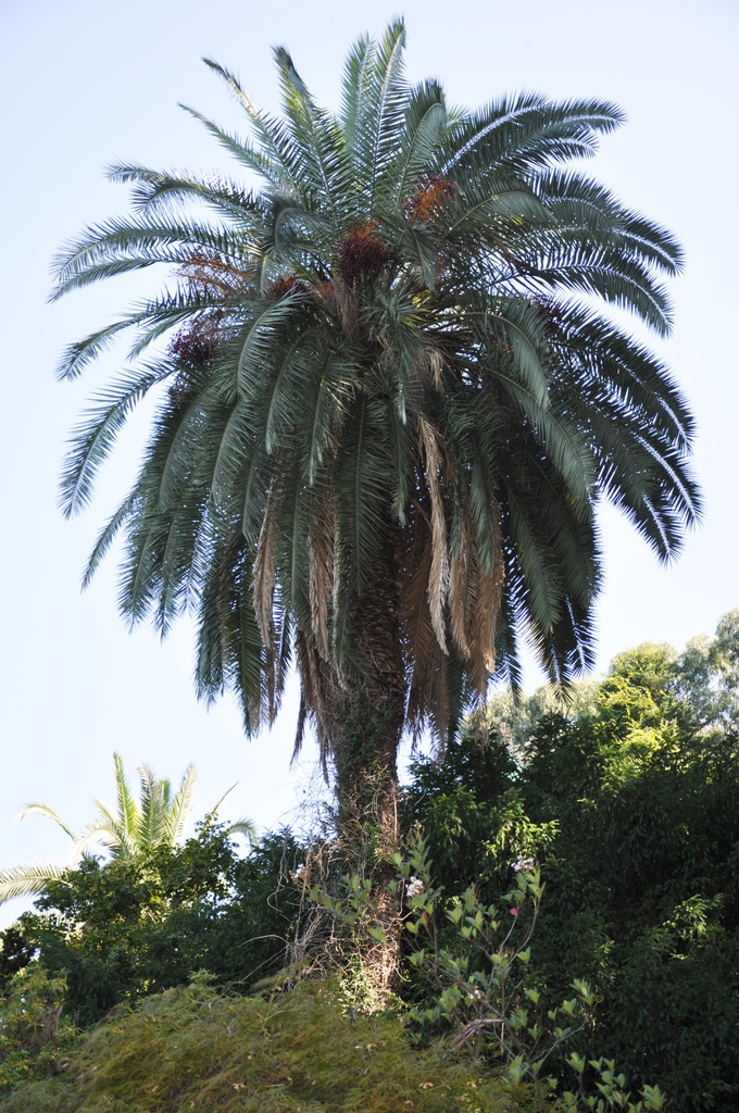 Form