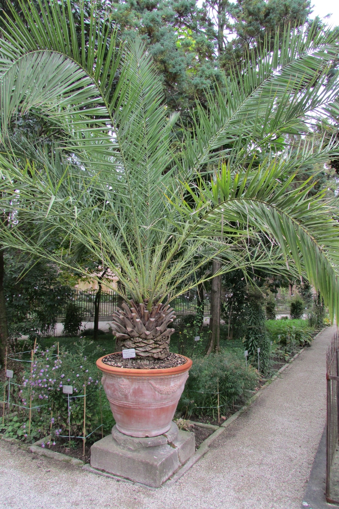 Form