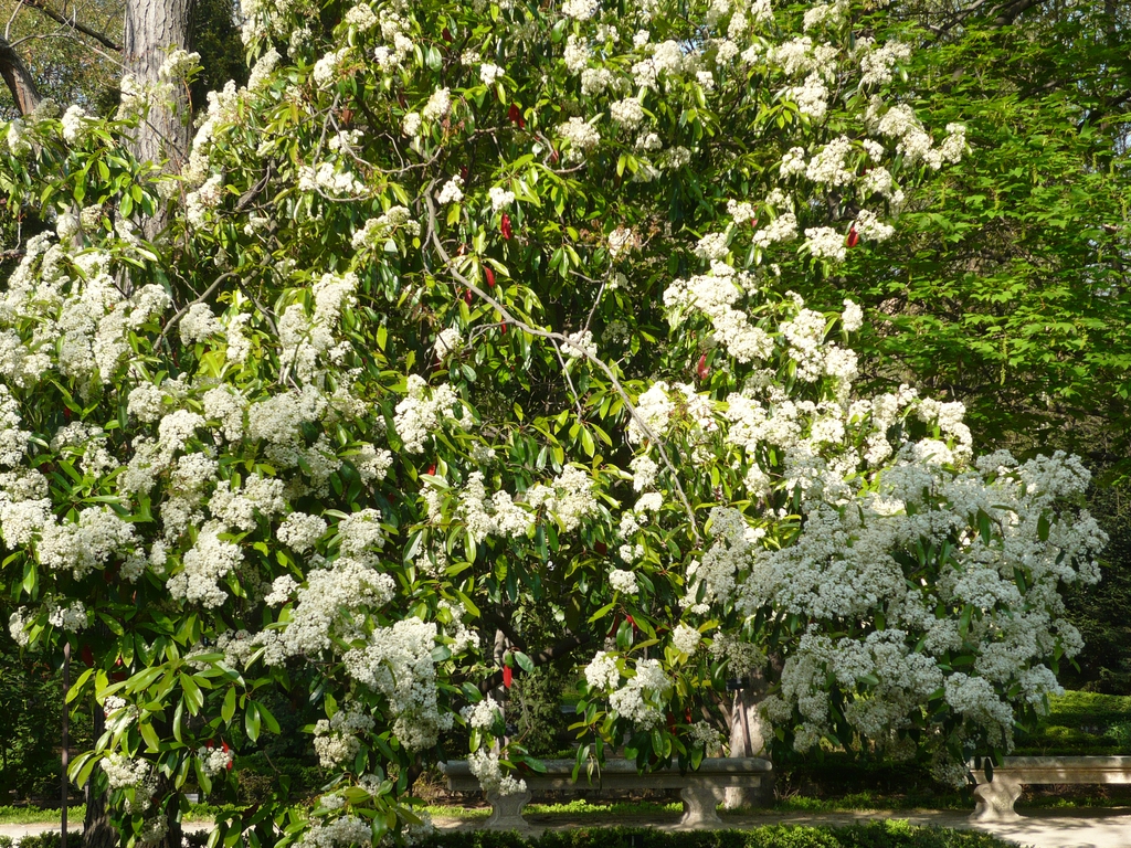 Form