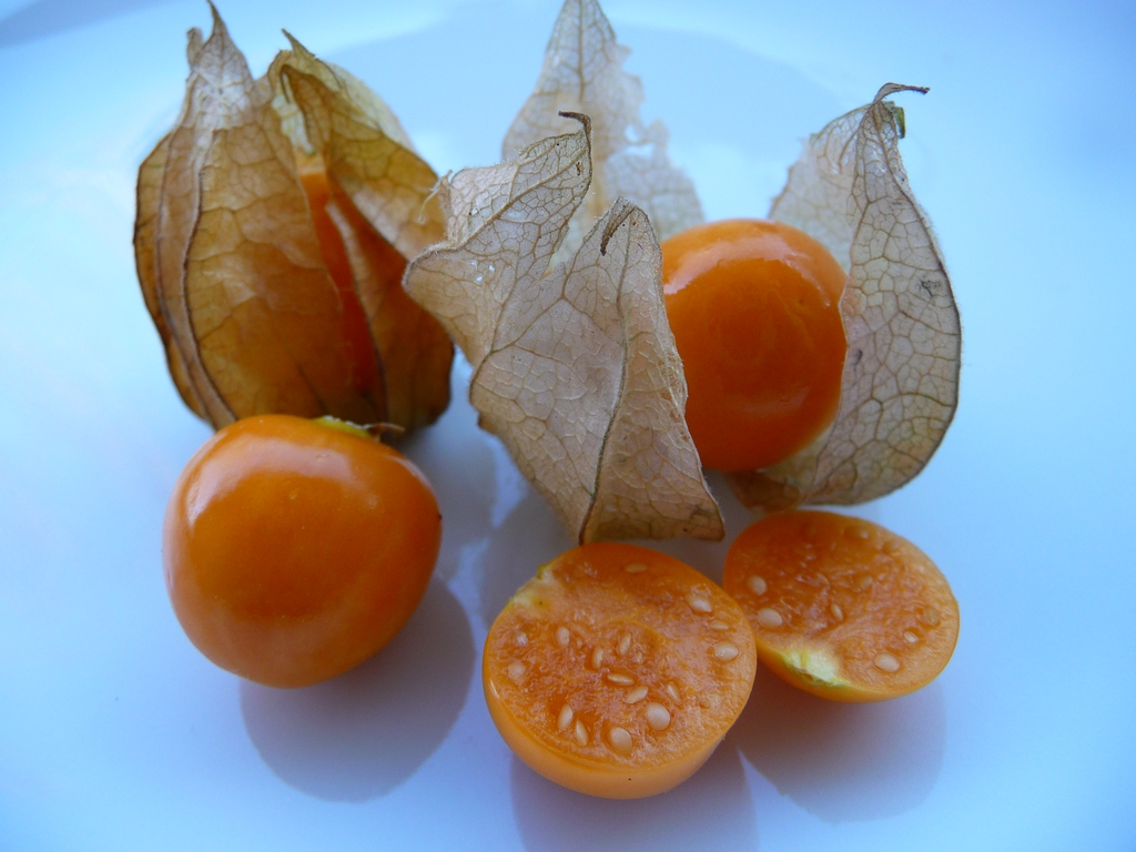 Physalis Nahaufnahme