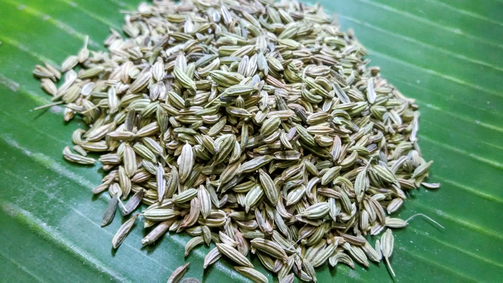 Seeds