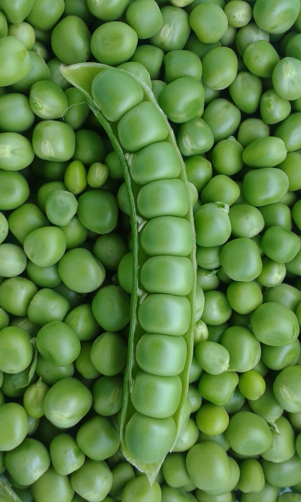 Peas in a pod