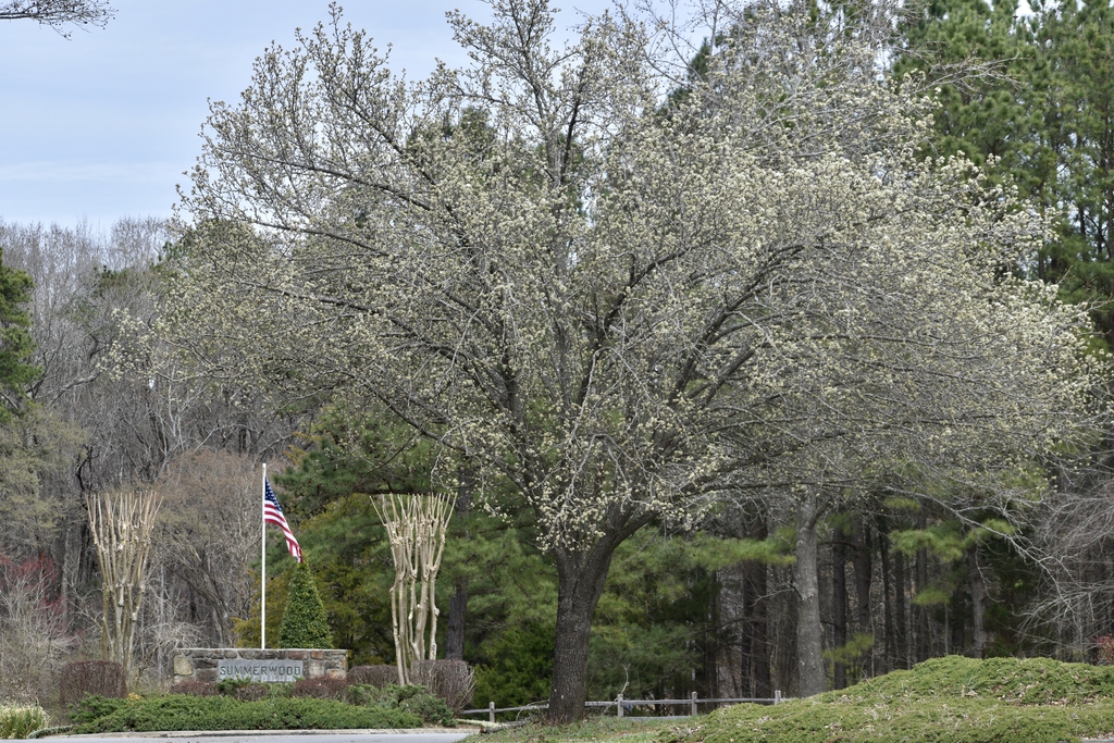Form - March 14 - Warren Co., NC