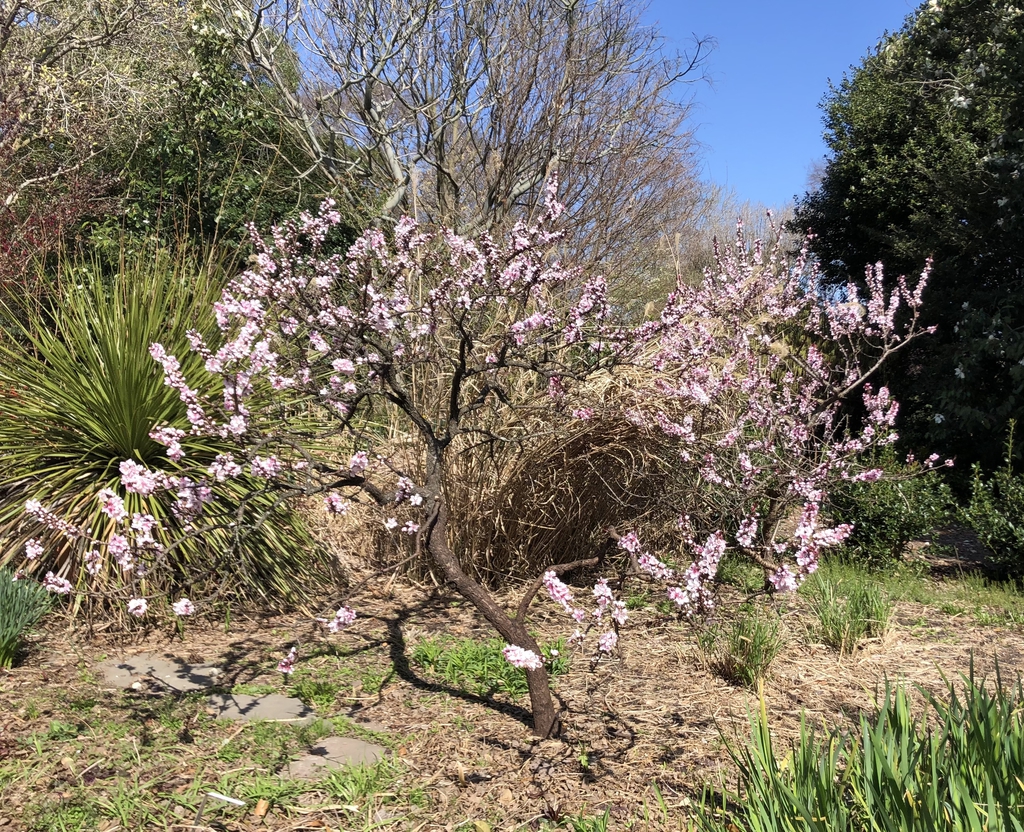 FormForm - March 22 - Wake Co., NC