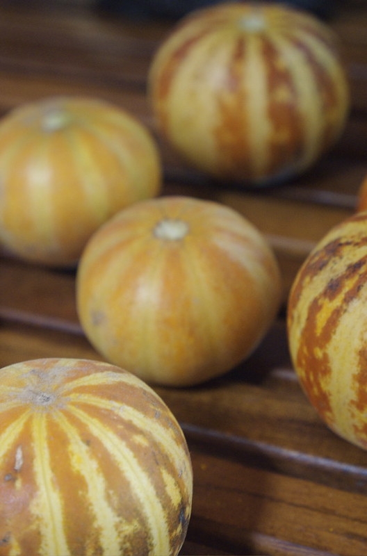 a group of small, brown and beige striped melons