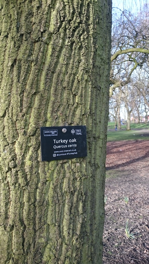 Bark