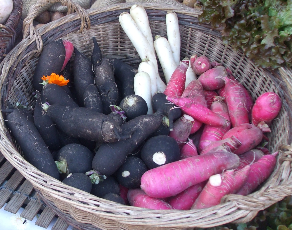 A variety of roots