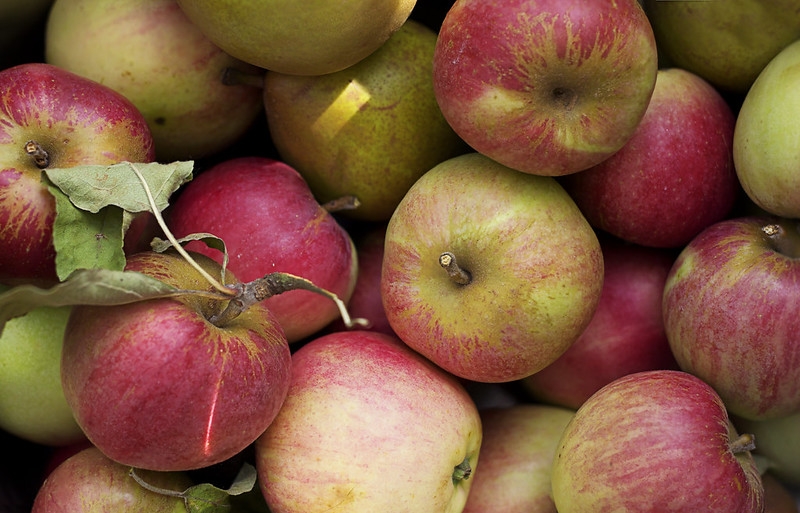 a heap of red apples.