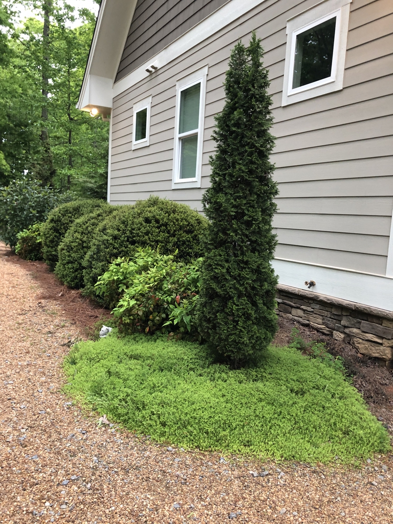 Form, Warren County, NC