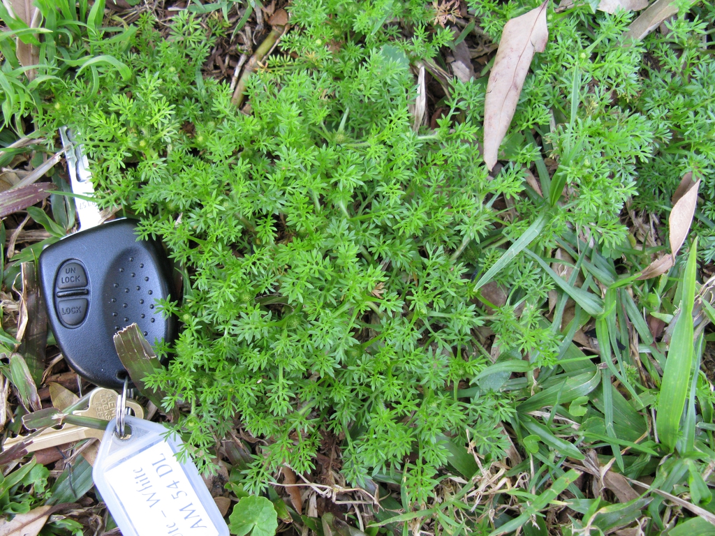 Habit