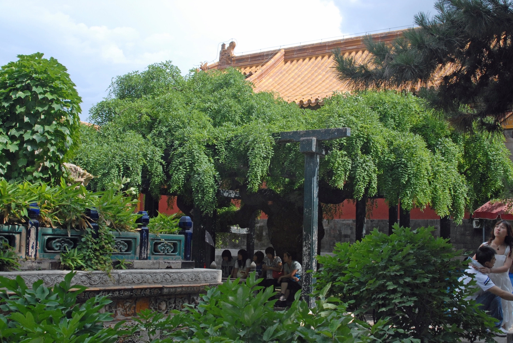 'Pendula' as a Shed