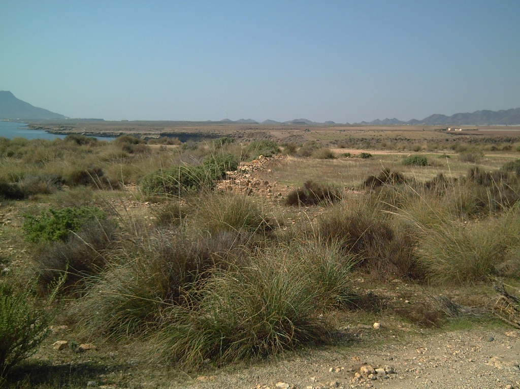 Native habitat