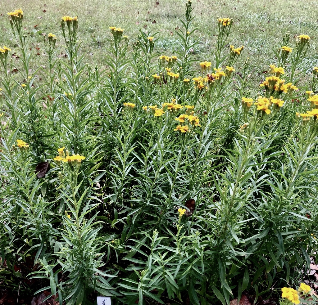 Form - Wake Co., NC