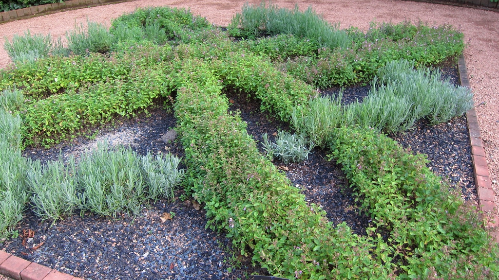 Used in a knot garden
