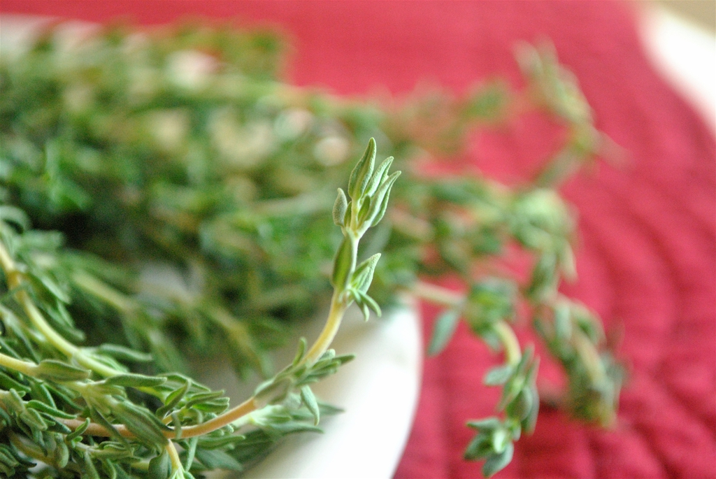 Thyme leaves