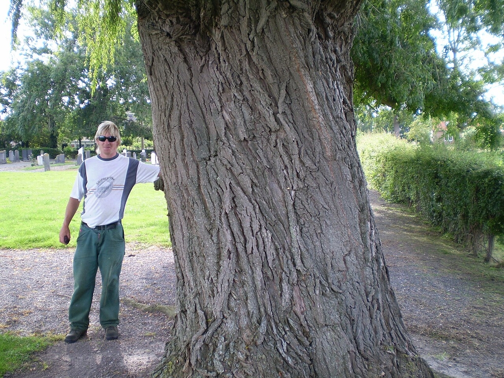 Trunk in August in Germany