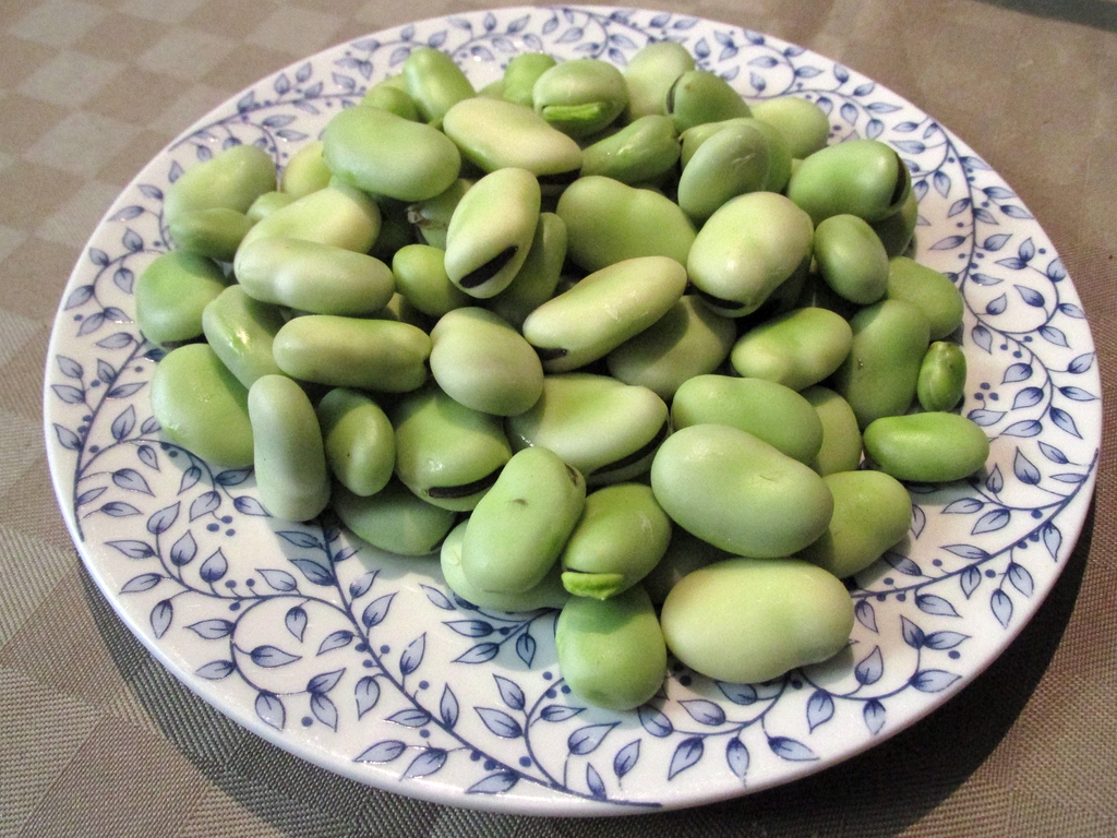 Fruiut