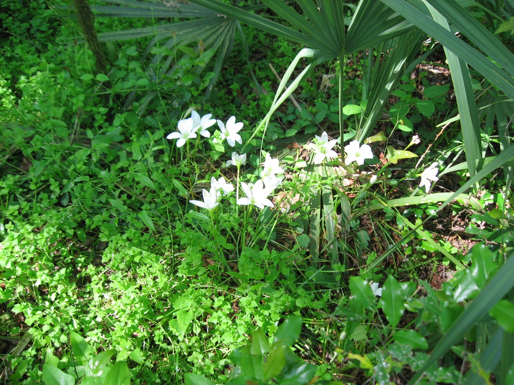 Form