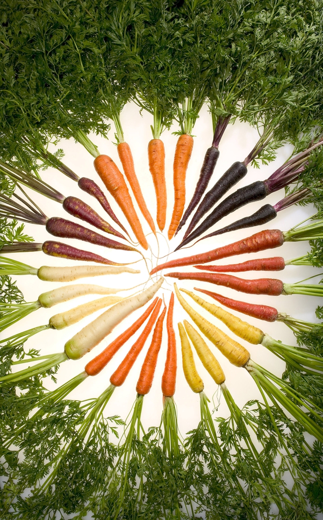 carrots that are purple, yellow, white, and orange