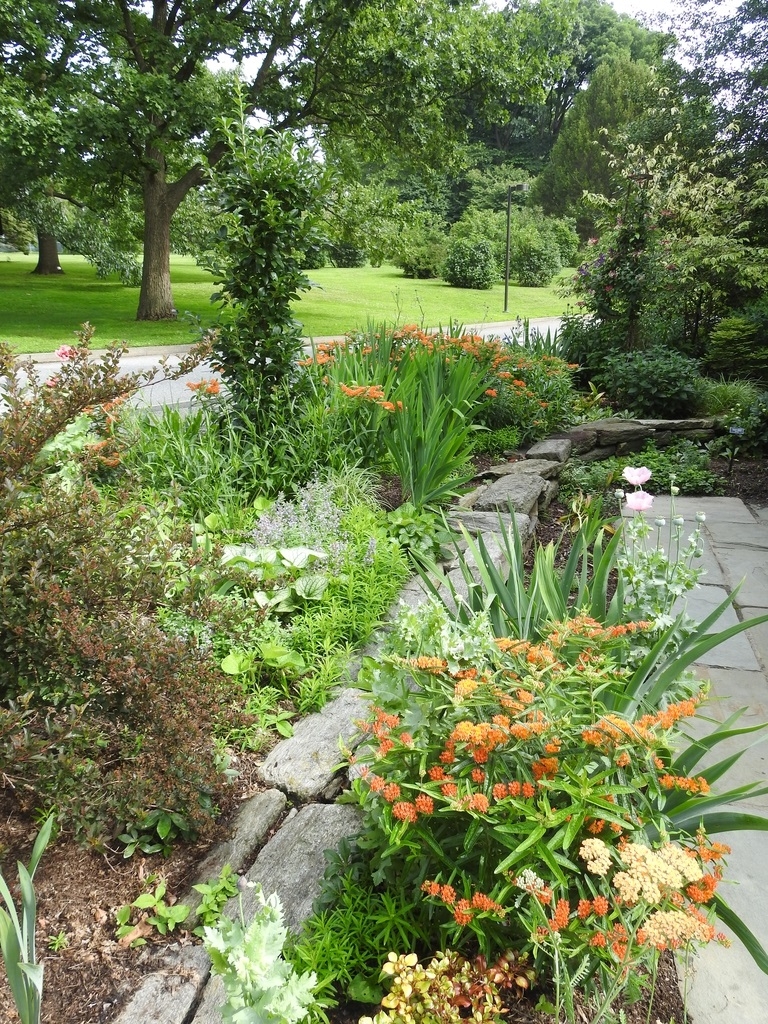 'Tokyo Tower' Form - Upright element in a perennial bed