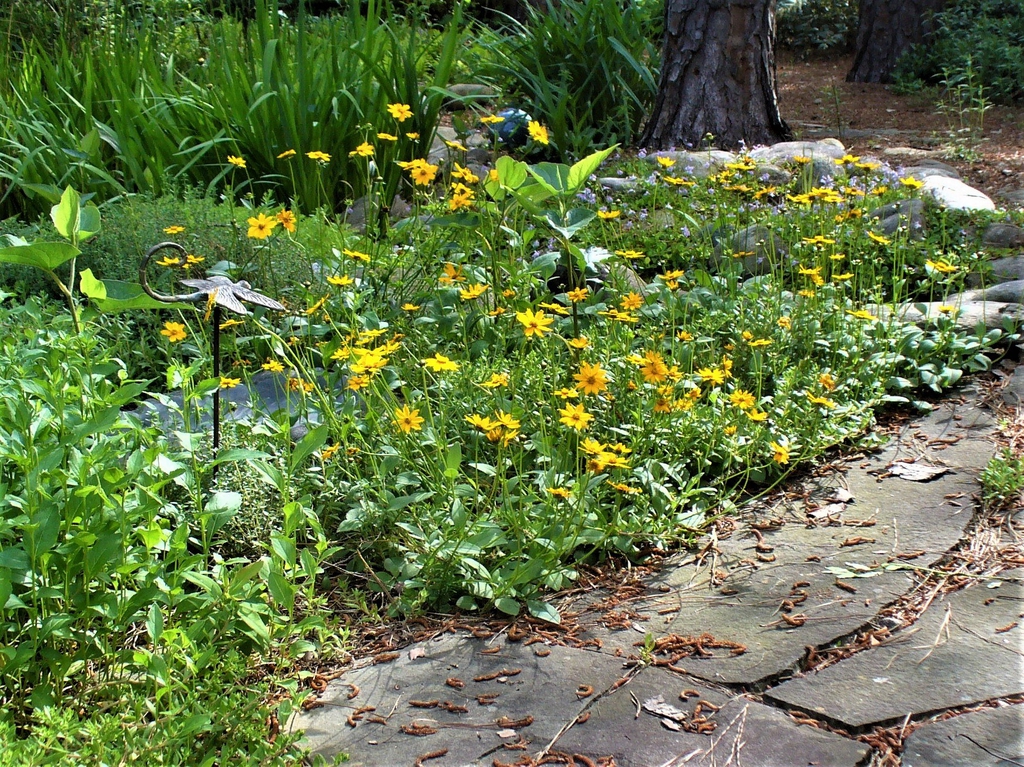 form in the landscape in spring in Moore County