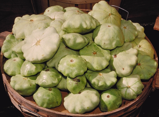 Petit pan squash