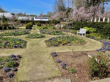 Late winter view from blue & yellow garden
