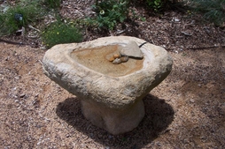 Center Garden Water Feature at Durham Co Extension Demo Garden