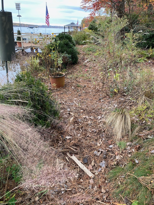 Grasses add November interest