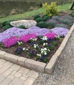 Flowers in early spring