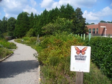 Right side of trail (Summer/2020)