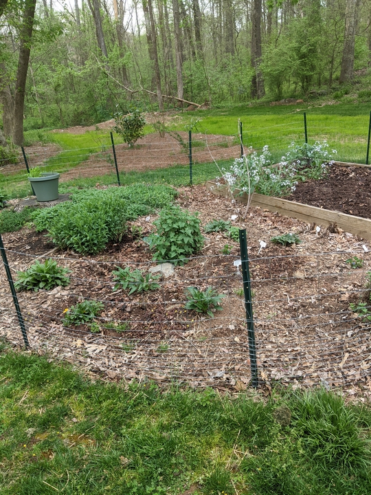 Garden in April 2021